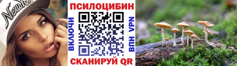Псилоцибиновые грибы GOLDEN TEACHER  Перевоз 